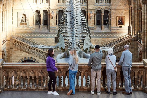 Natural History Museum in Tring